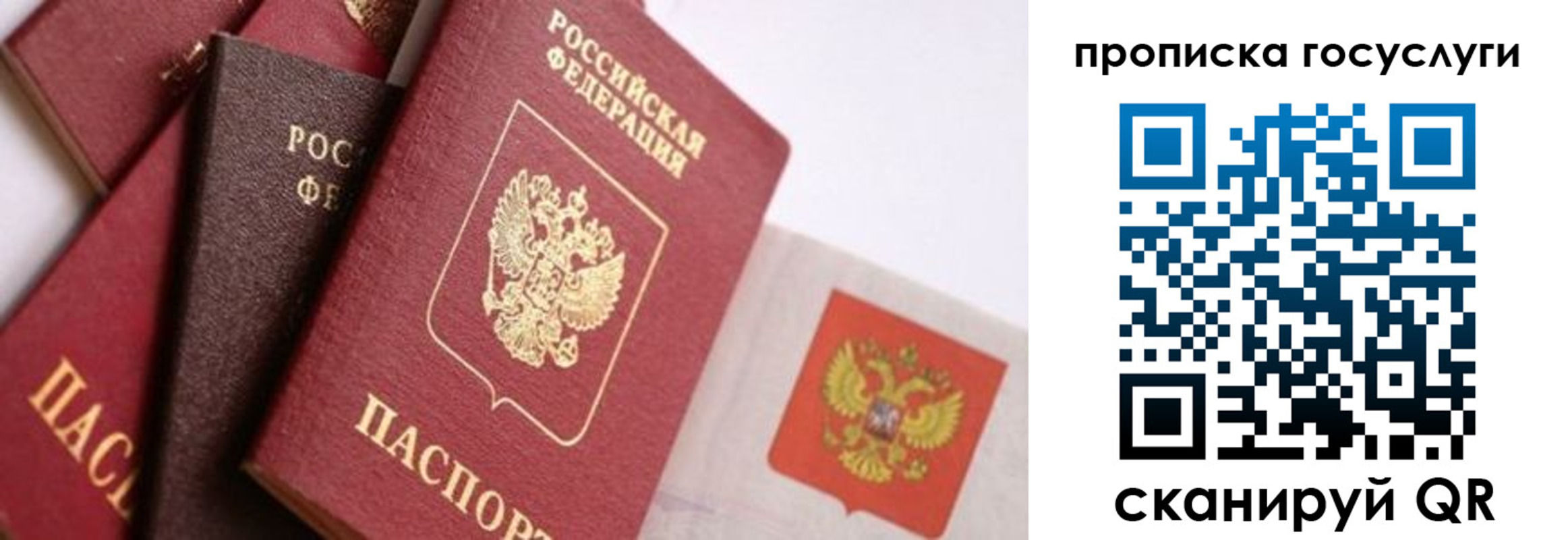 прописка законно в Заволжье